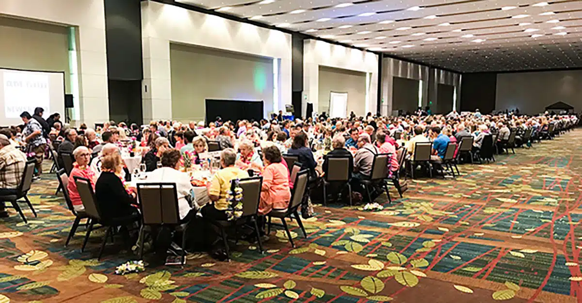 Gala Wide View
