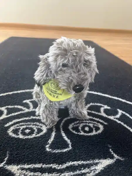 Wolfadoodle plush animal